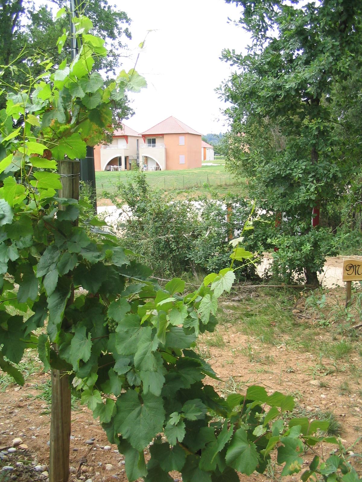 Terres De France - Domaine De Claire Rive Otel Prayssac Dış mekan fotoğraf
