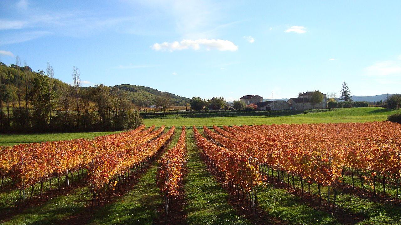 Terres De France - Domaine De Claire Rive Otel Prayssac Dış mekan fotoğraf