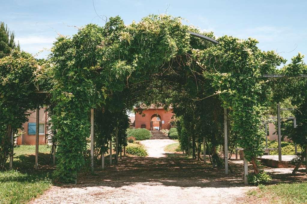 Terres De France - Domaine De Claire Rive Otel Prayssac Dış mekan fotoğraf